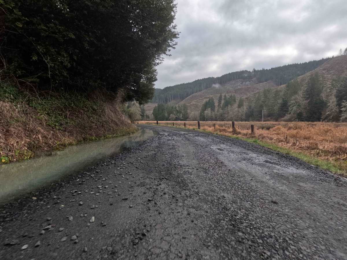 Haynes Way Lane photo 4