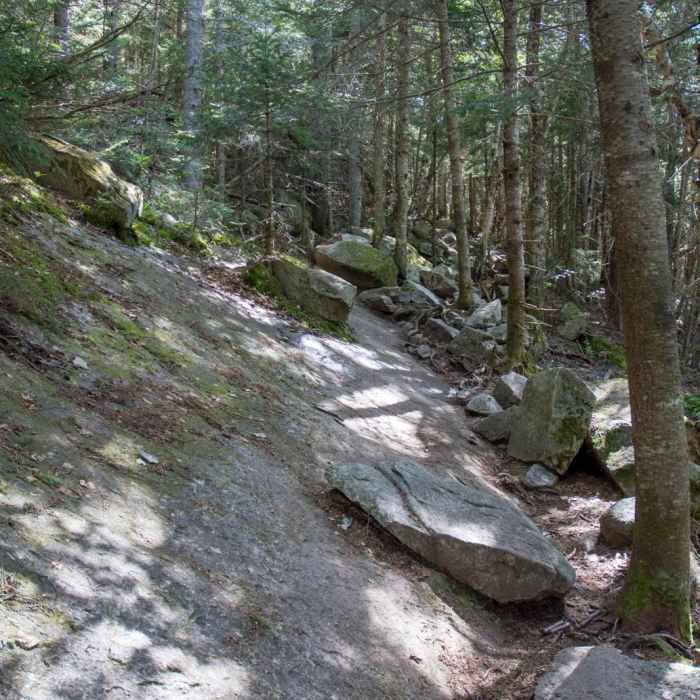 Near Mount Osceola Out and Back Near Mount Osceola Out and Back