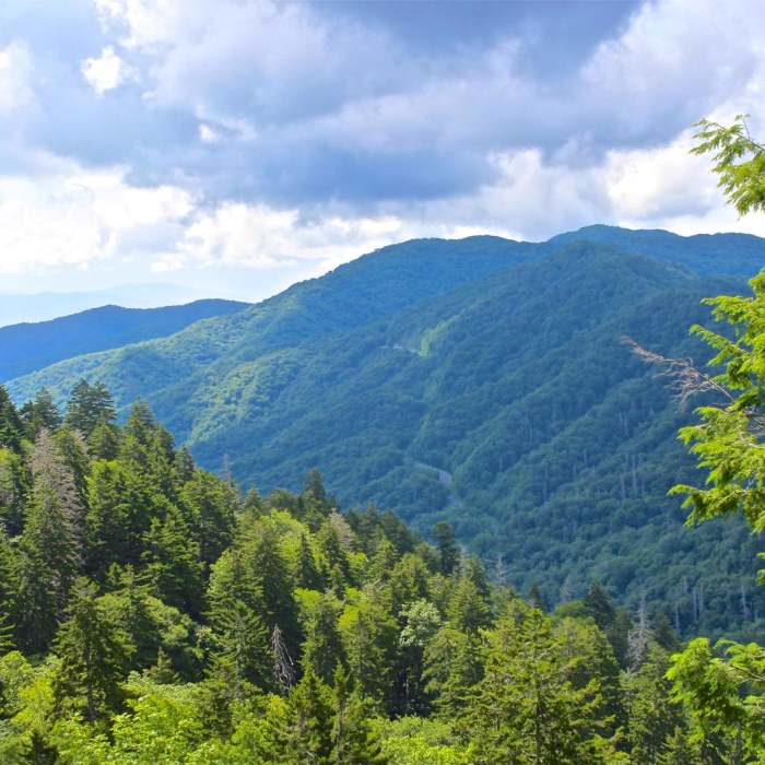 Near Charlie's Bunion Near Charlie's Bunion