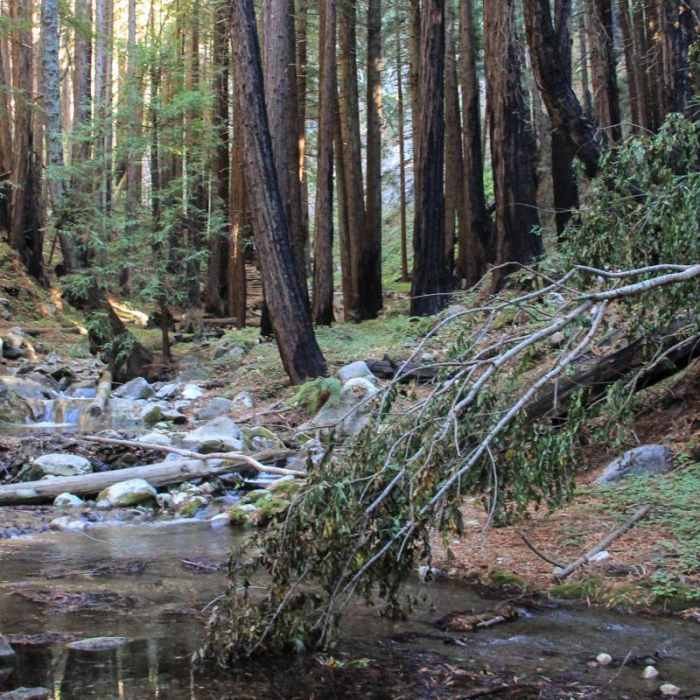 Near Hare Creek Trail Near Hare Creek Trail