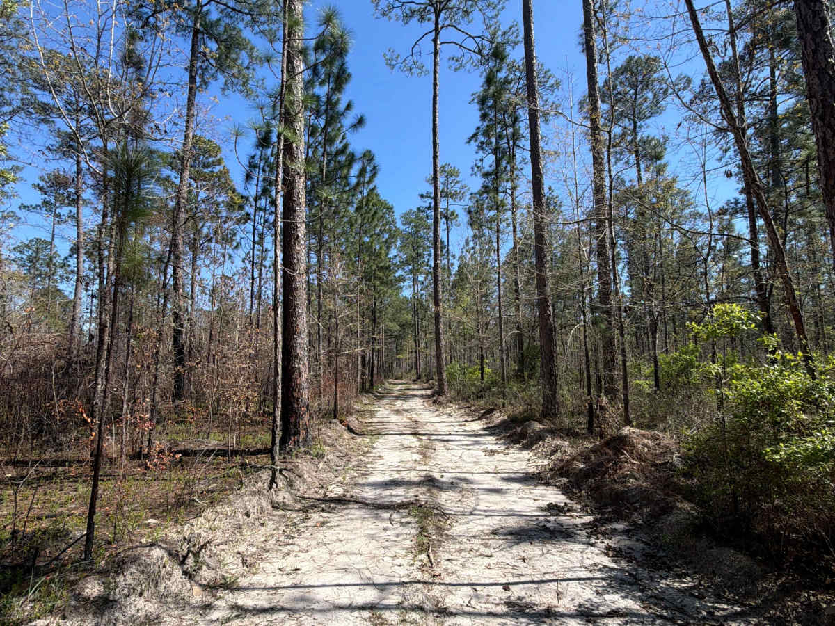 H 32 photo 6