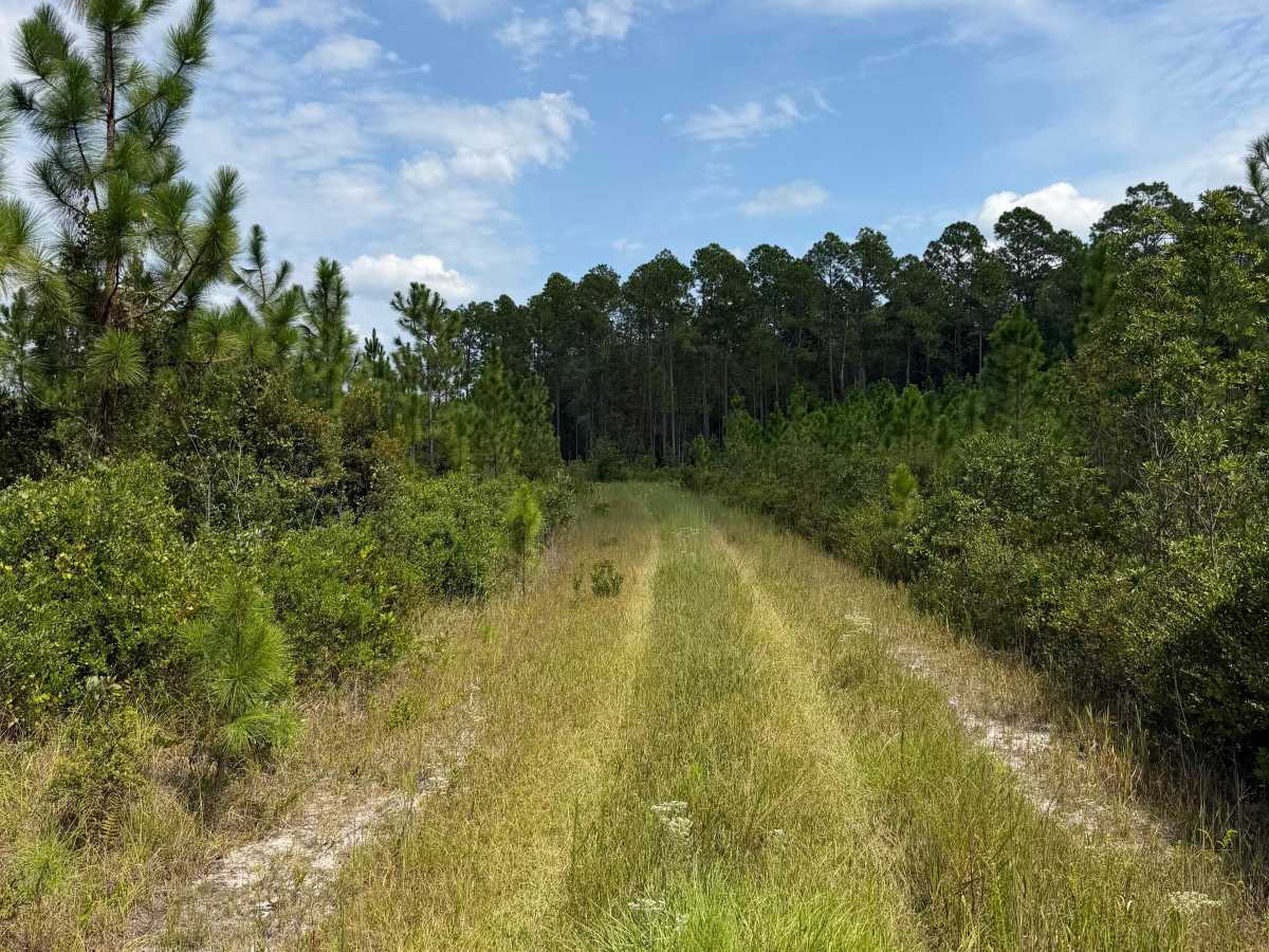 FS 287-C trail photo
