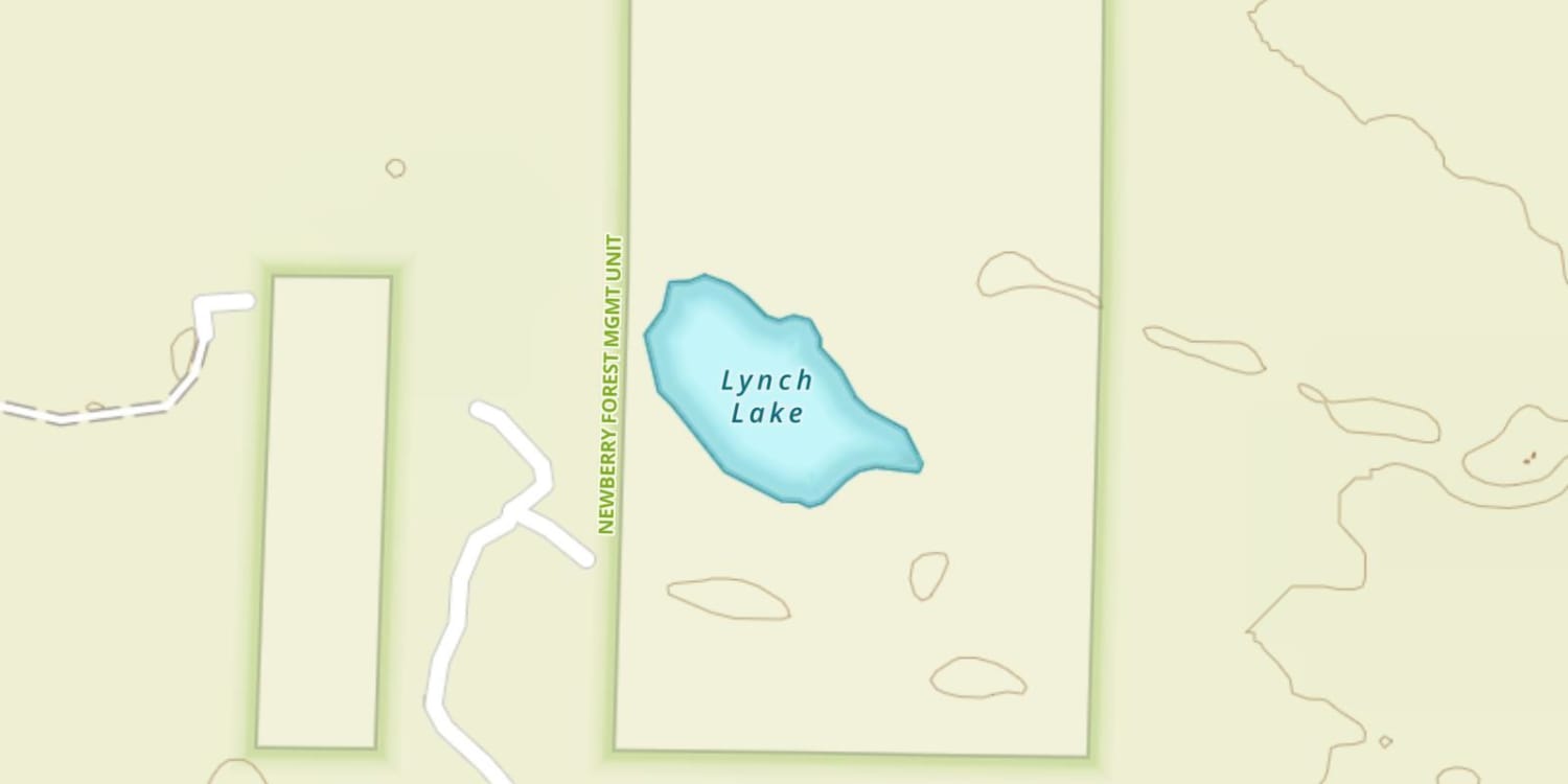 Lynch Lake