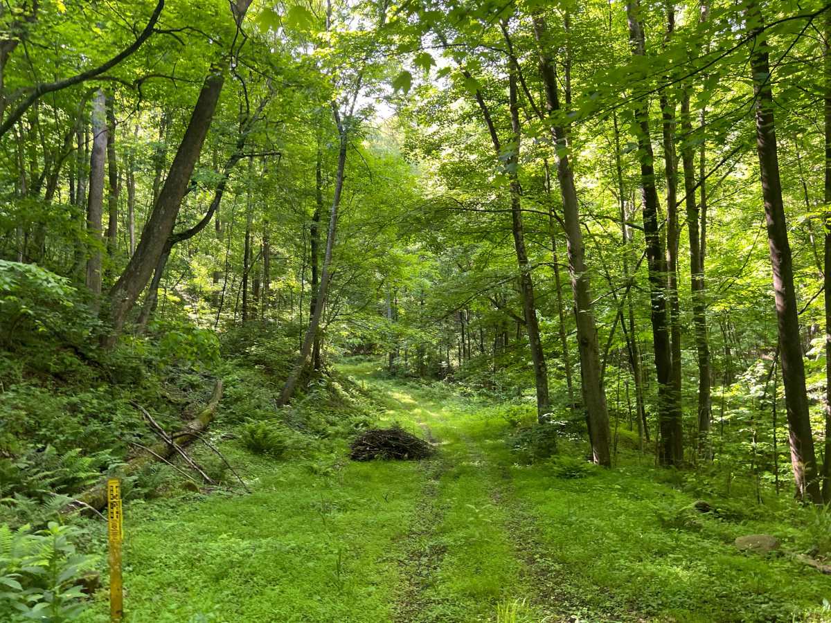 KC27A trail photo