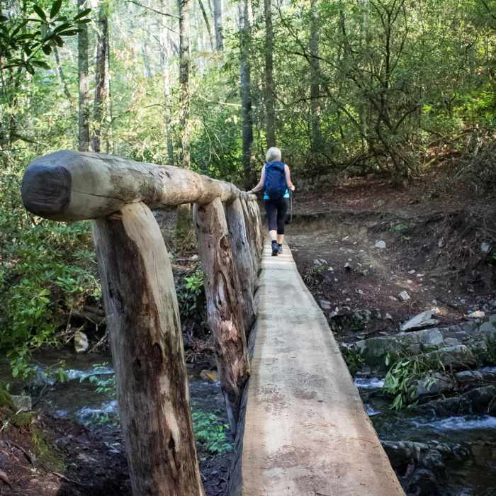 Near Abrams Falls Out and Back Near Abrams Falls Out and Back