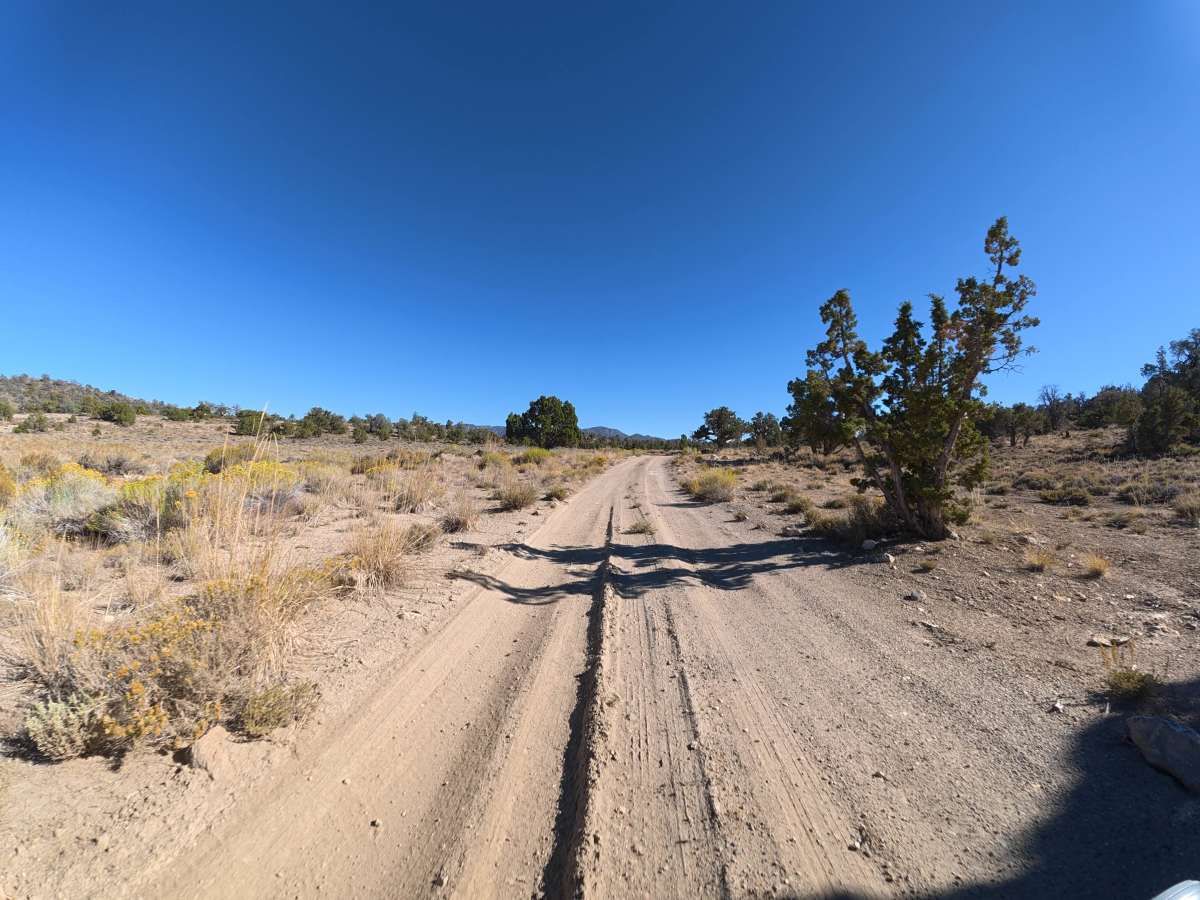 Carma Loop trail photo