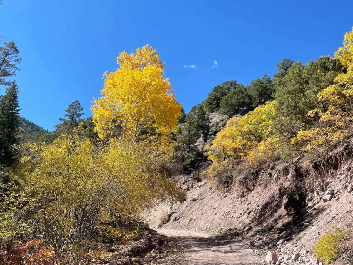 Deer Creek Trail photo 4