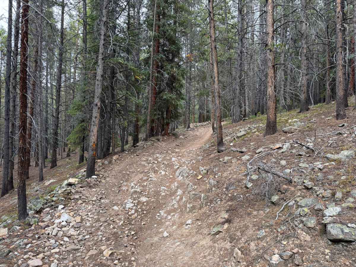 Jones Gulch Way Road photo 2