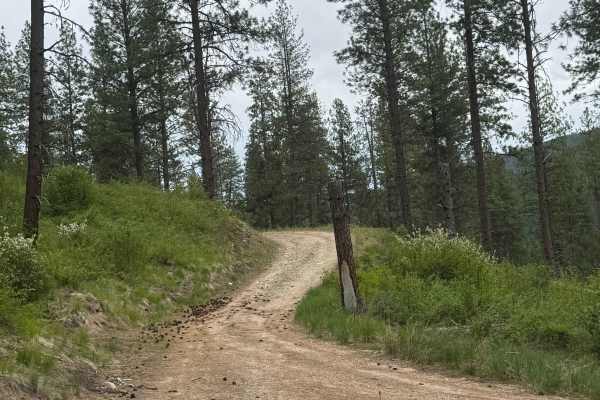 Powerline Road - FS 2000-092