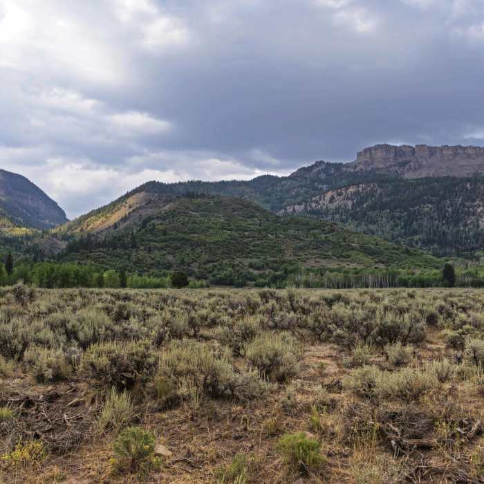 Near Grandaddy Basin Out and Back
