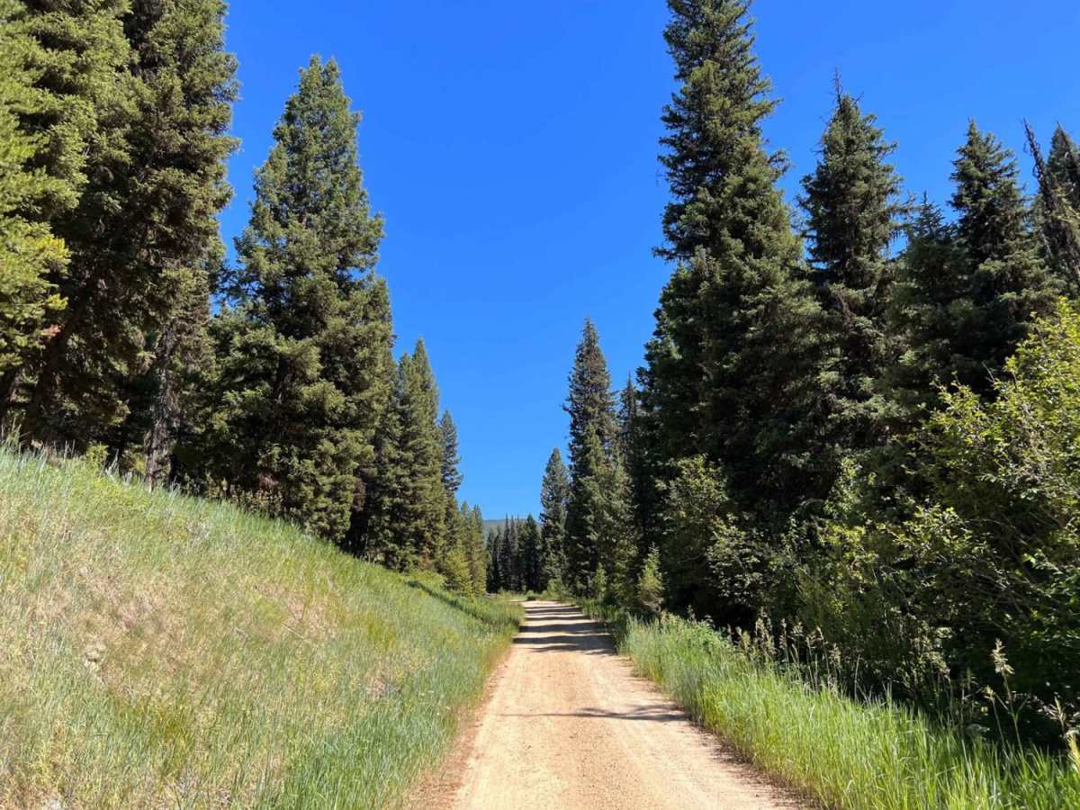 Swift Creek Trailhead photo 6