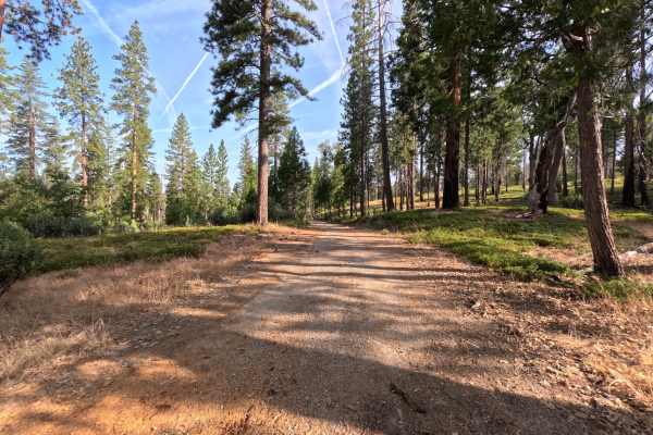 Sawmill Mountain Rd - 1S03