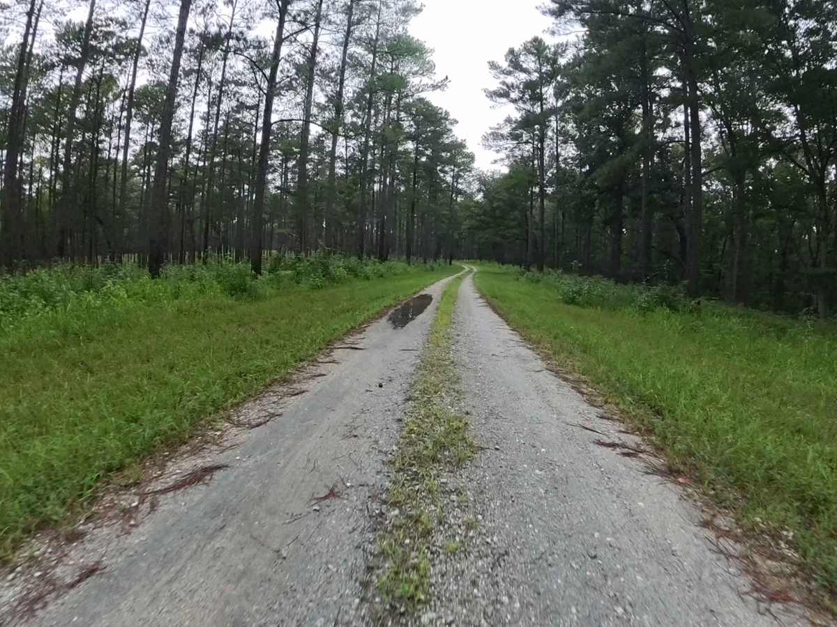 West Vaco Road trail photo