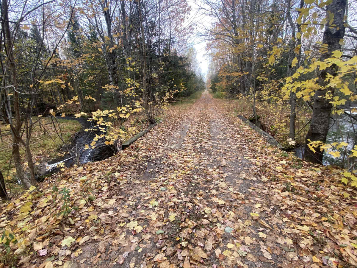 Camp Four Trail photo 4