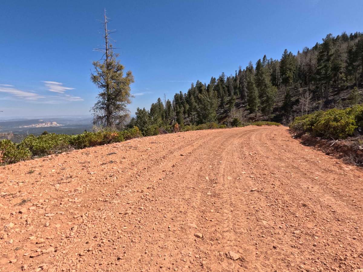 West Rim - FS 30203 photo 4