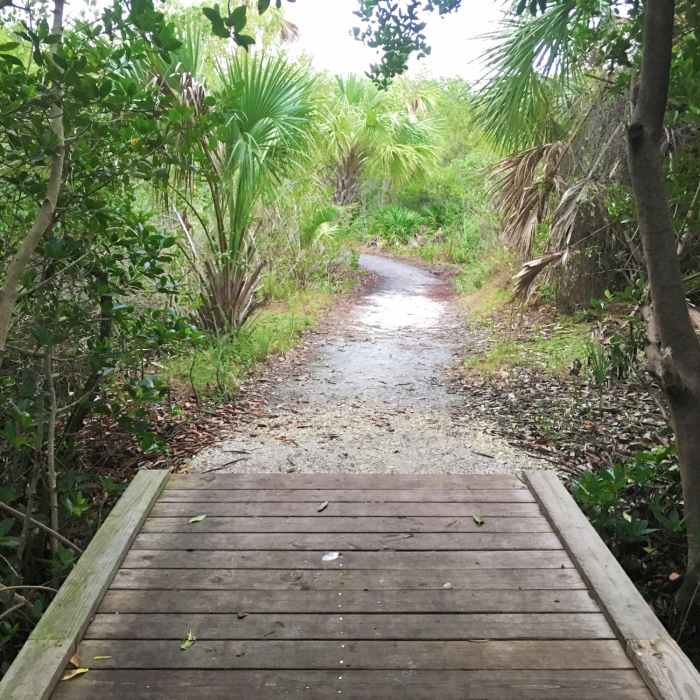 Near Boy Scout Trail