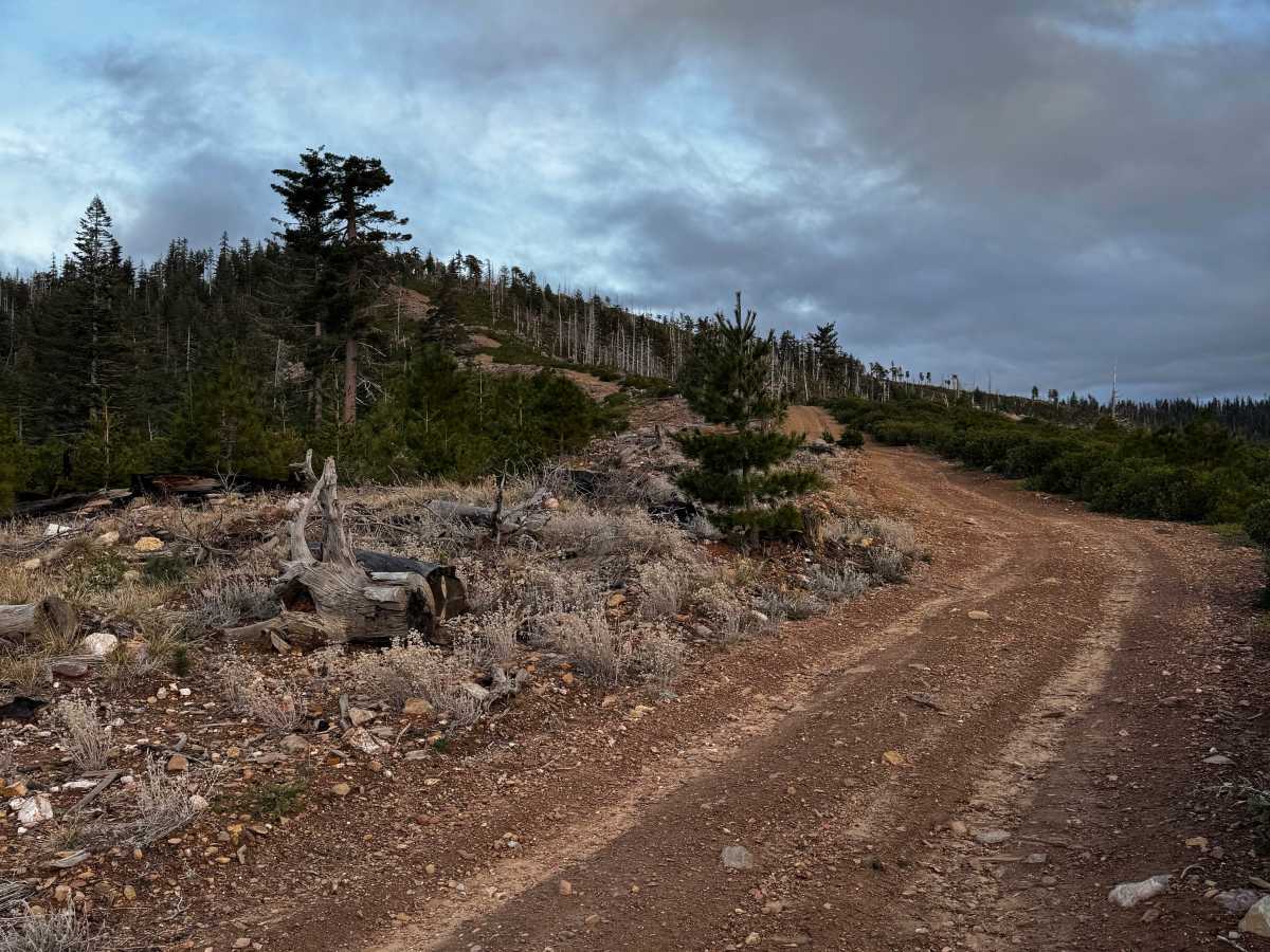 Ford Point East photo 3