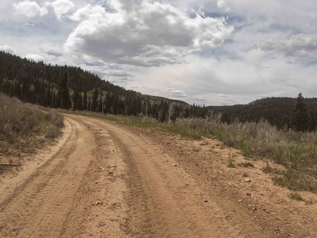 Proctor Canyon - FS 30109 photo 3