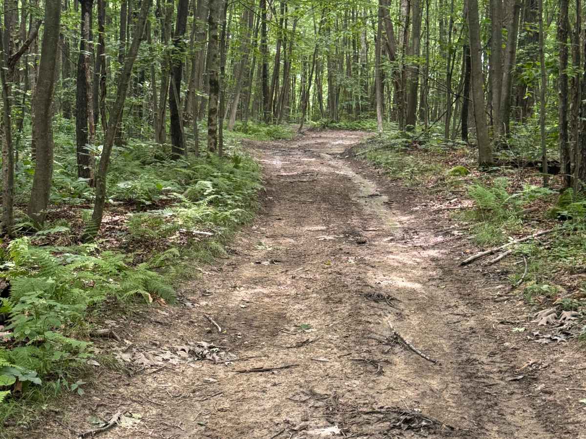 Trail 75 photo 3