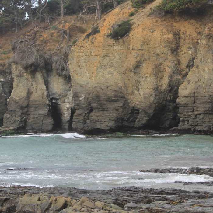 Near Salt Point Trail