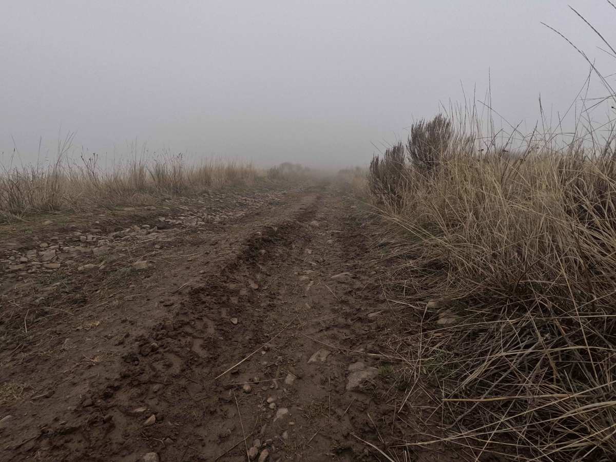 Road 14.14 photo 4