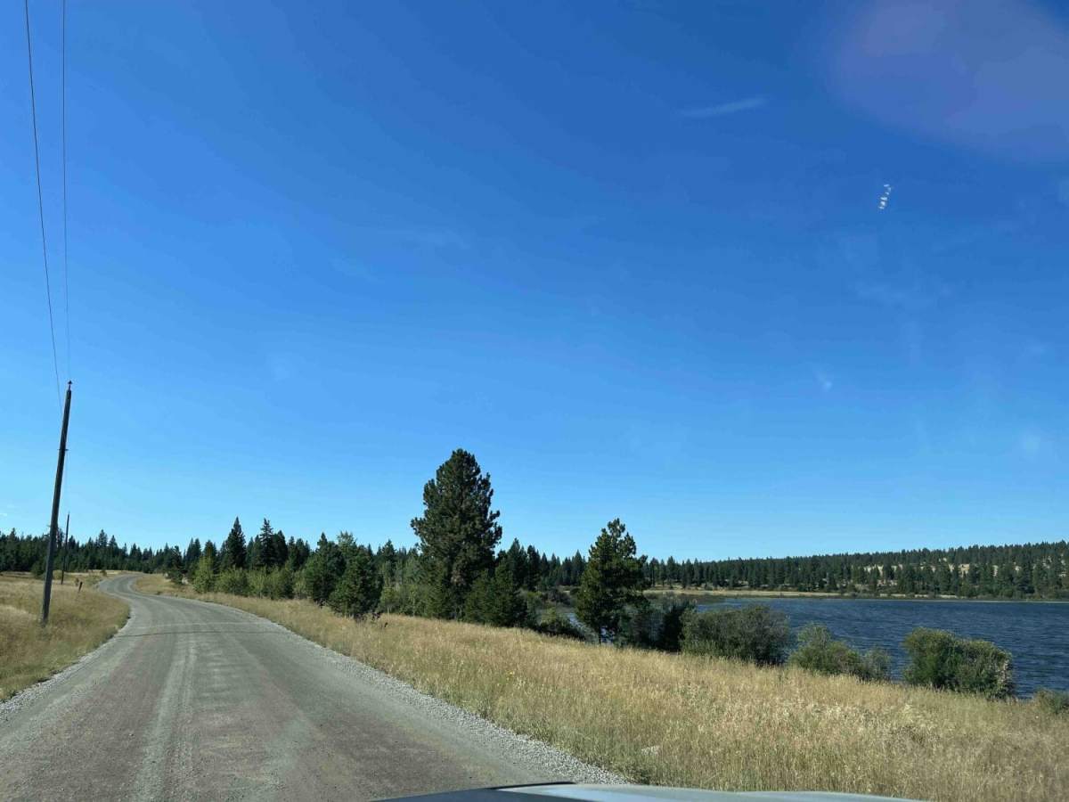 Douglas Lake Road photo 4