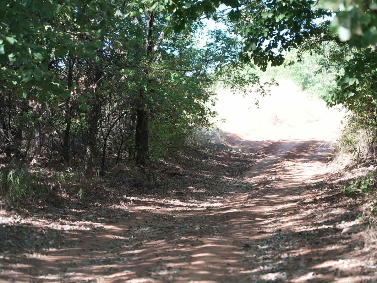 Green 15 photo 3