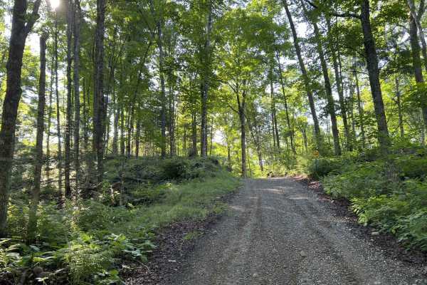 Rock Creek Road - Florence County F14