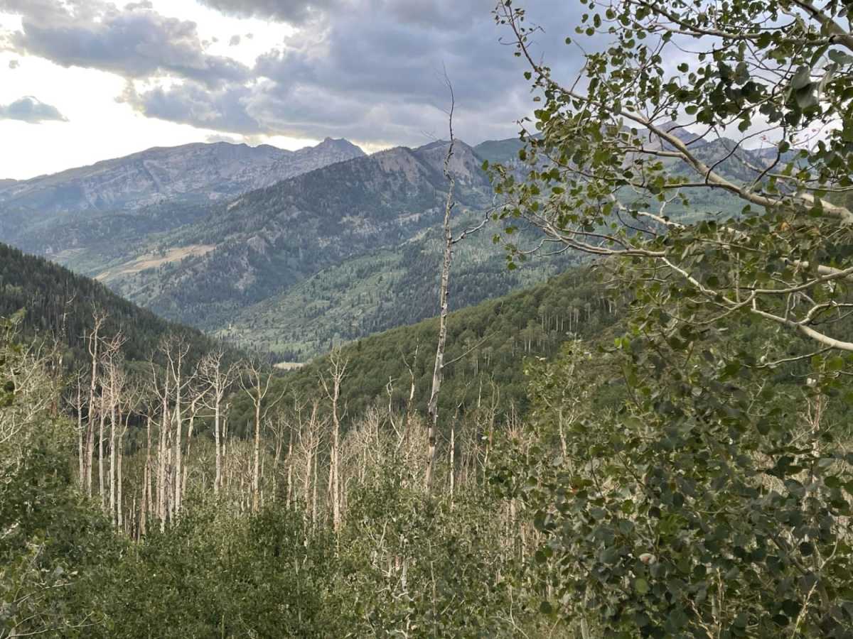 American Fork Snake Creek photo 2