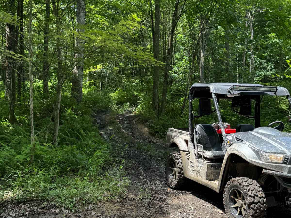 Trail 37 photo 6