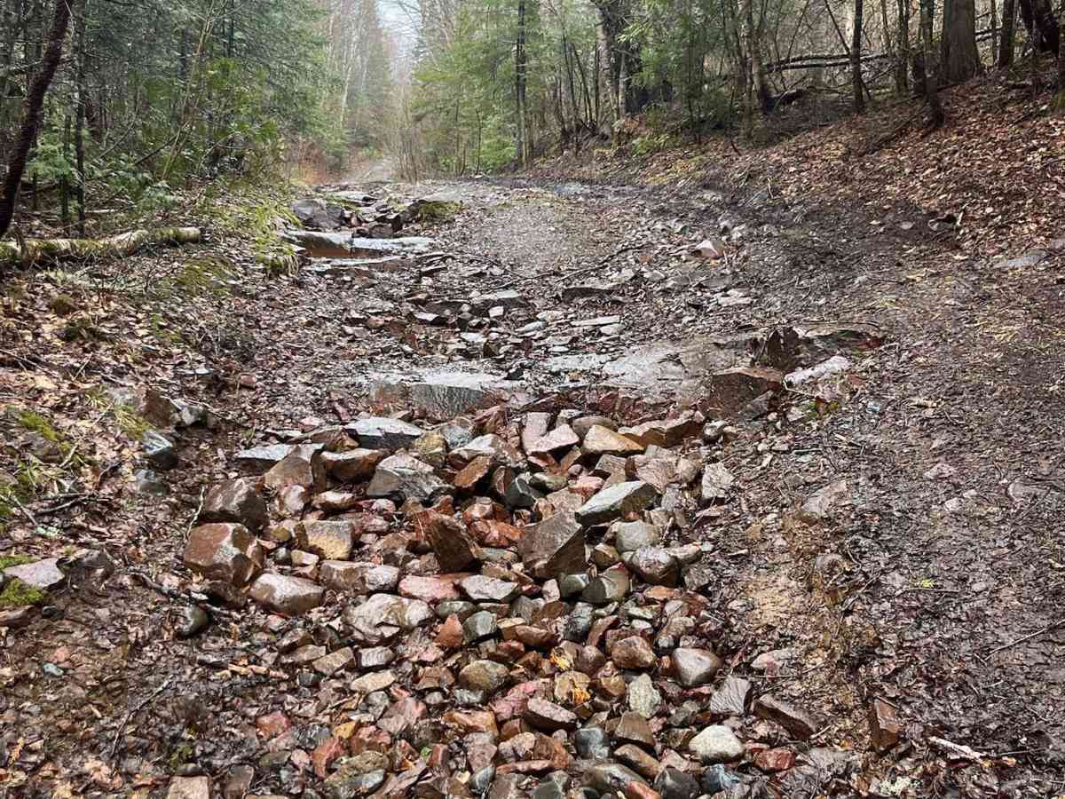 Thrasher Trail photo 6