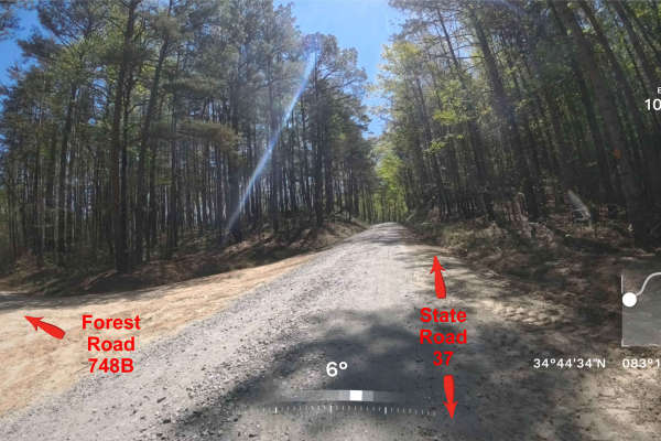Forest Road 748B