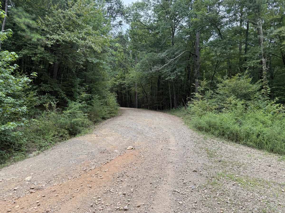 Polk County Road 633 photo 4