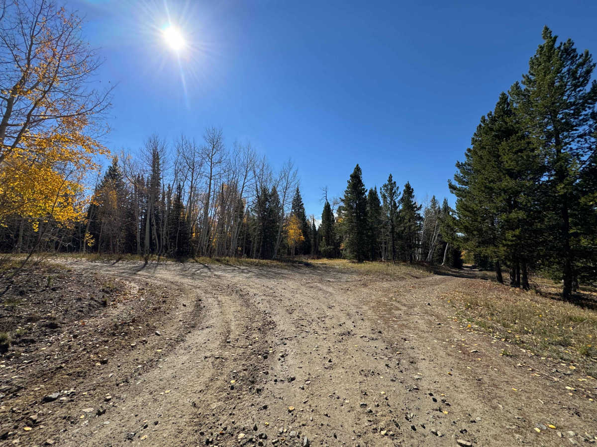 FS 511-1A, Colorado | Off-Road Trail Maps, Difficulty, Trail Status ...