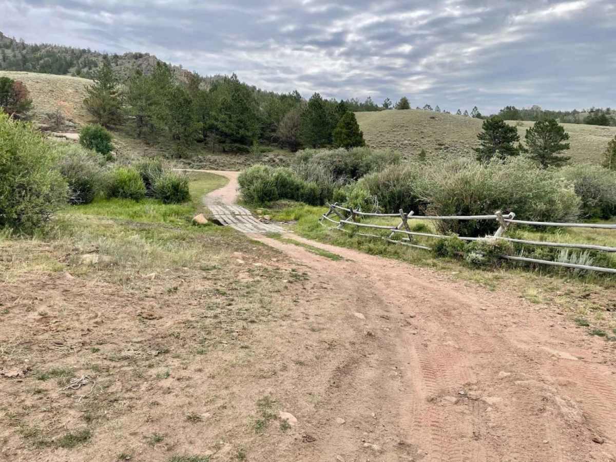 Tame Cat trail photo