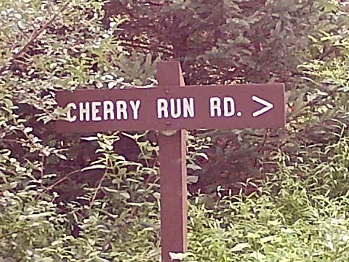 Cherry Run Road trail photo