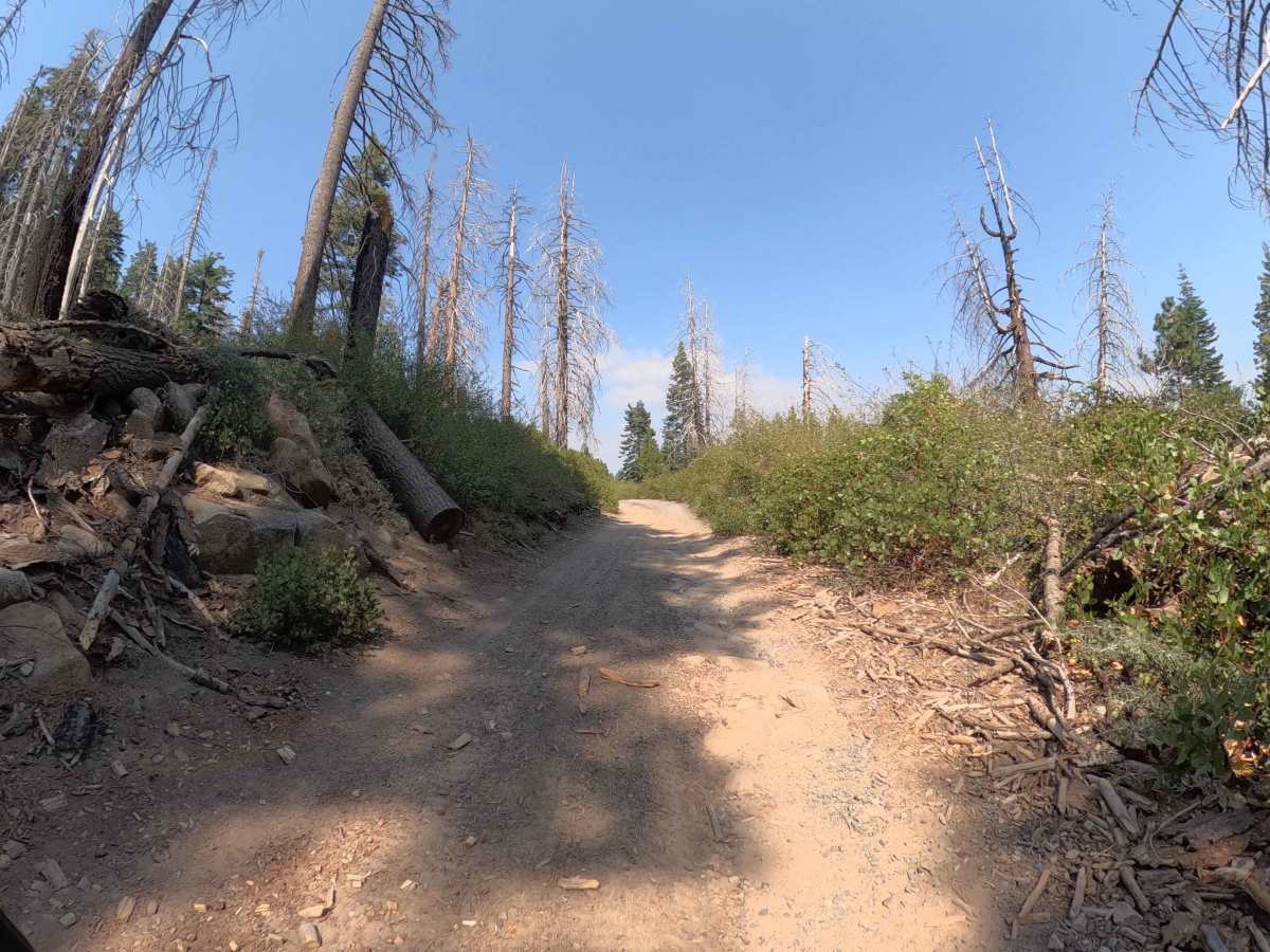 Dobler Meadow - FS 4S031 photo 4