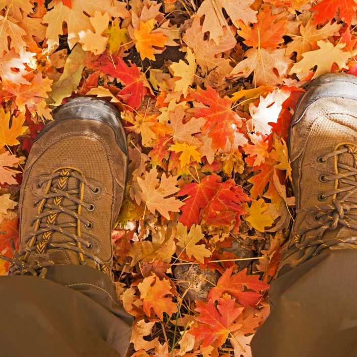 Near South Fork of Neff's Canyon