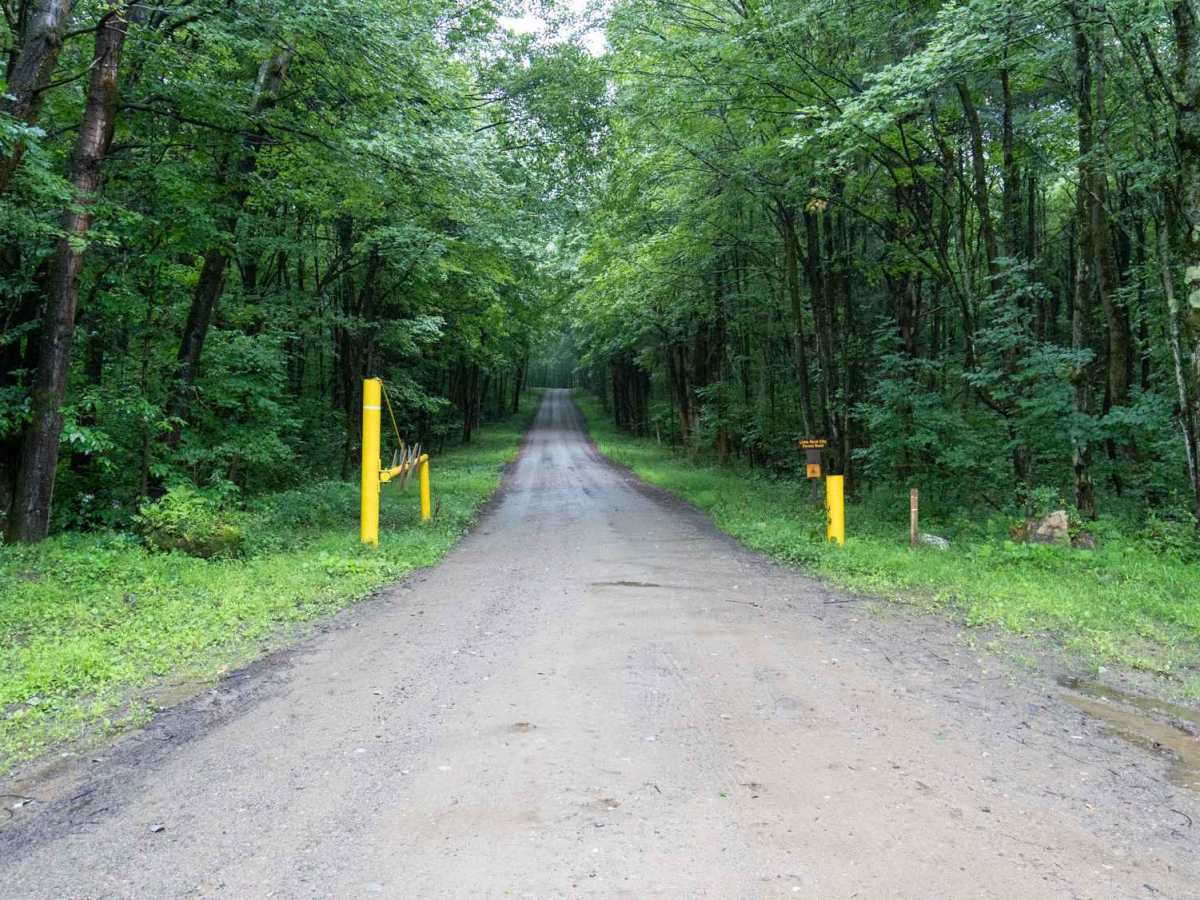 Little Rock City Forest Road trail photo