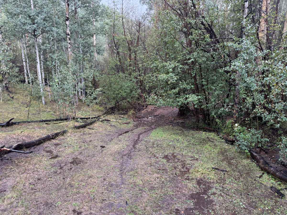 East Willow Creek photo 5
