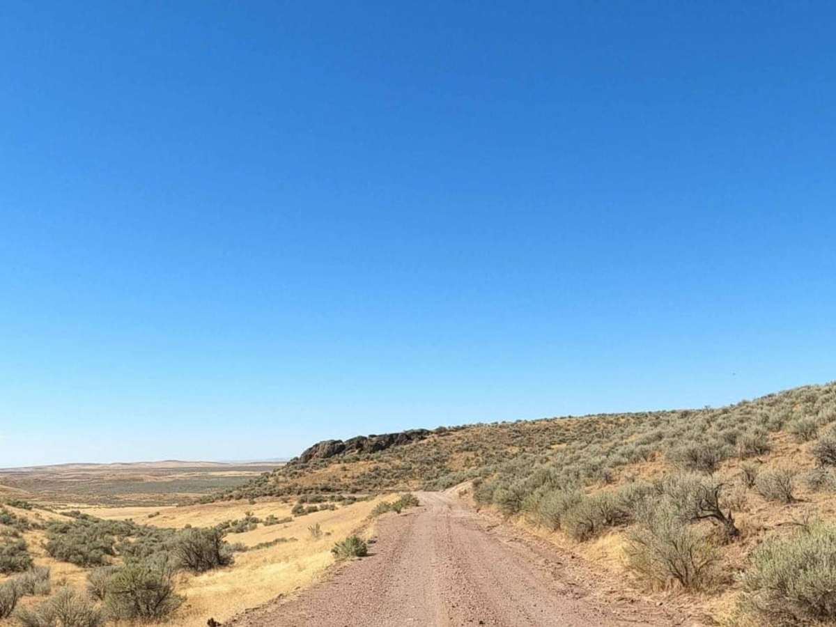 Blowout Reservoir Road photo 4