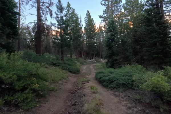 Willow Creek Spur E - FS 31051E
