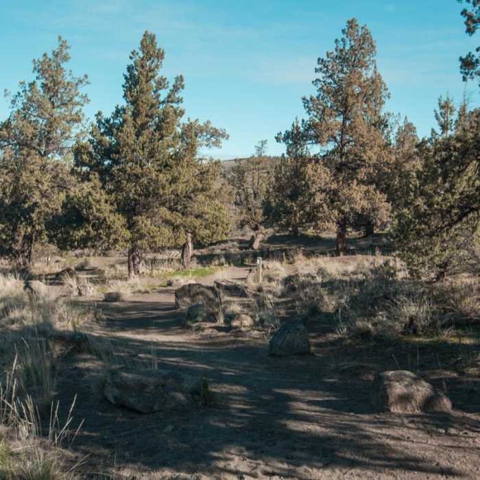 Near Steelhead Falls