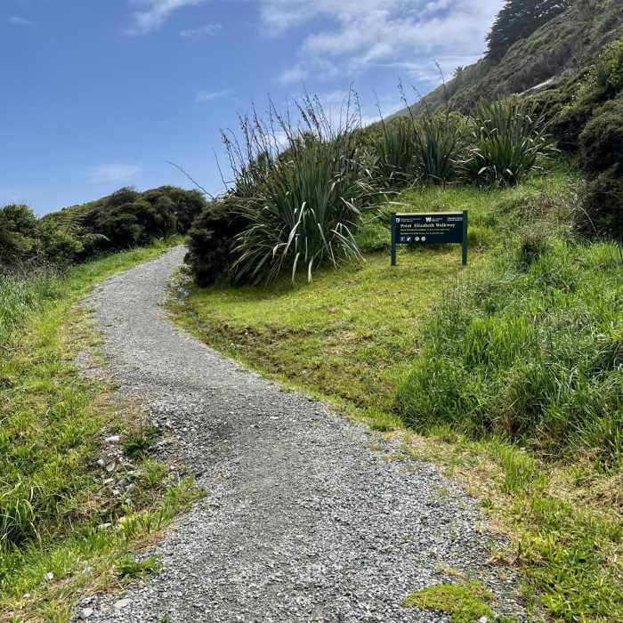 Near Point Elizabeth Lookout Track Near Point Elizabeth Lookout Track