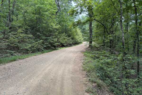 Polk County Road 36