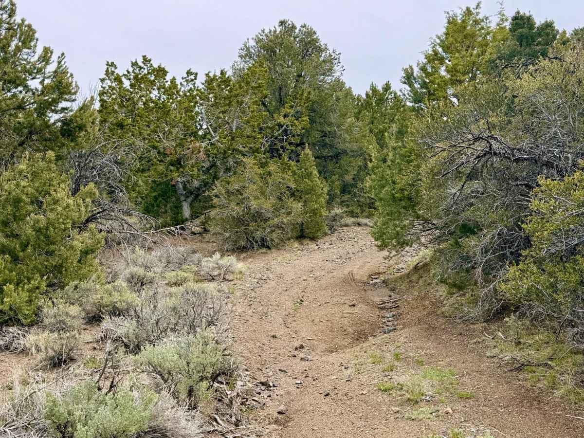 Trail Canyon Spur - FS 43312A photo 6