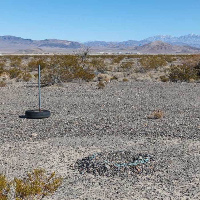 Near Cactus Springs Loop