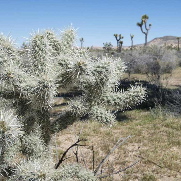 Near Ryan Ranch Trail Hike