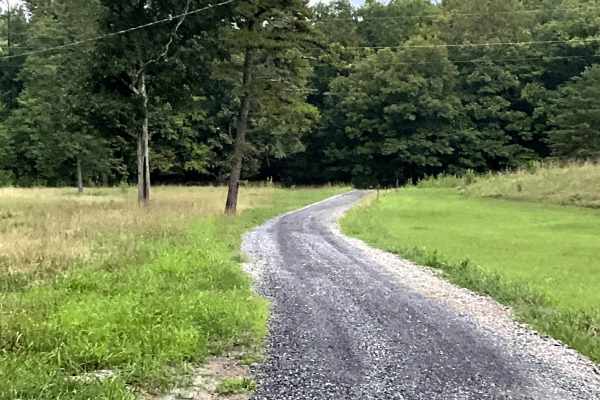 McDaniel Drive