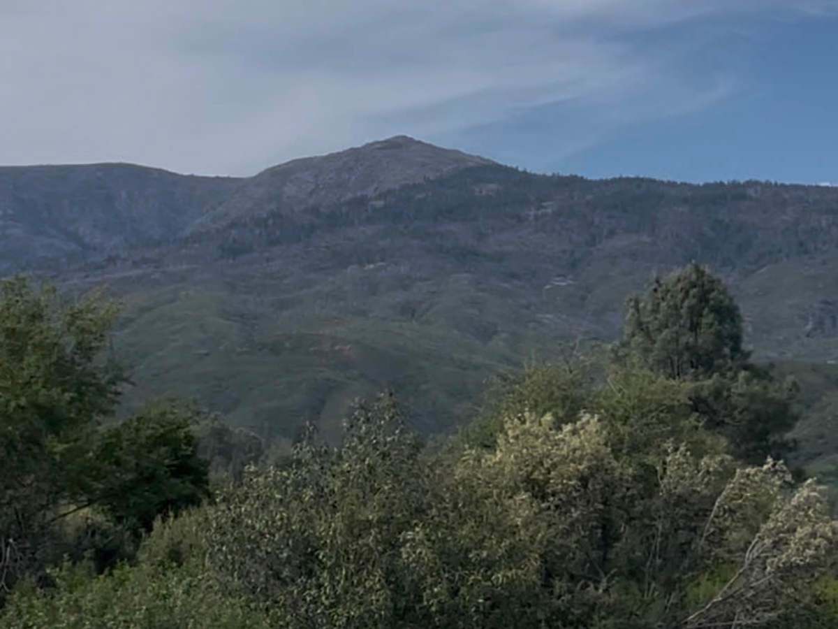 Hull Mountain Trail photo 4